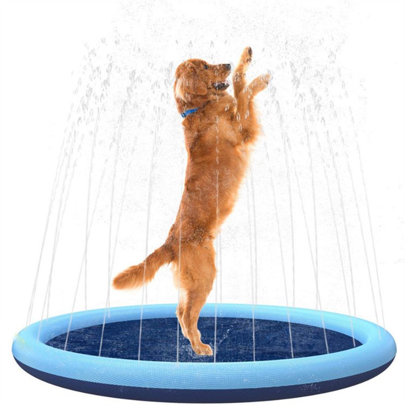 Piscina Jato de Água para Pets