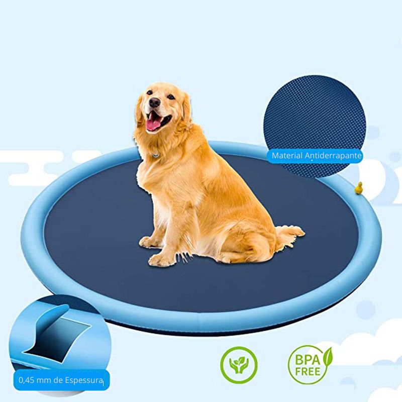 Piscina Jato de Água para Pets