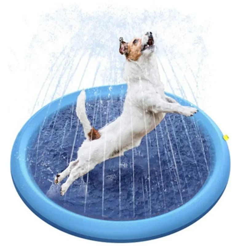 Piscina Jato de Água para Pets