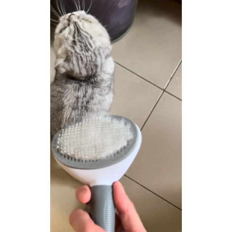 Escova de Remoção de Pelos Pet - PetHair