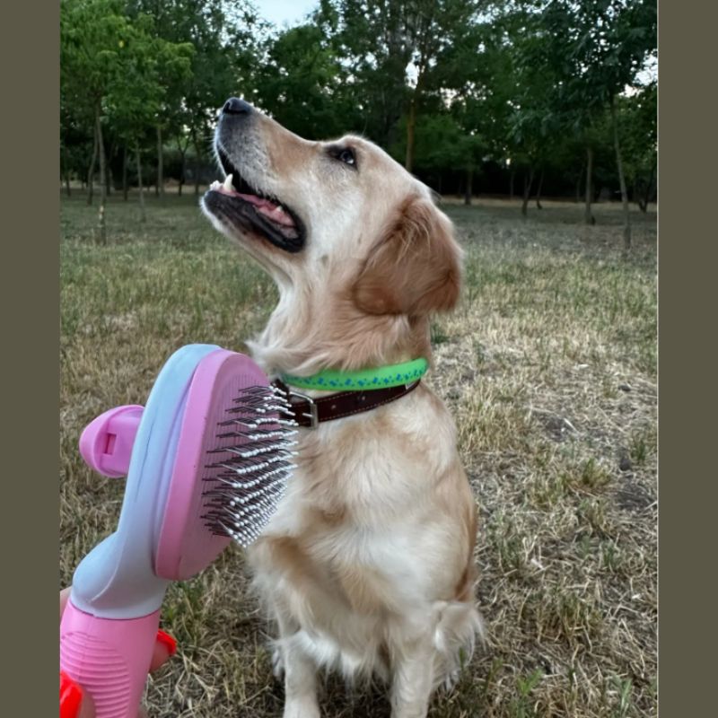 Escova de Remoção de Pelos Pet - PetHair