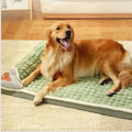 Cama para Cachorro e Gato Comfort