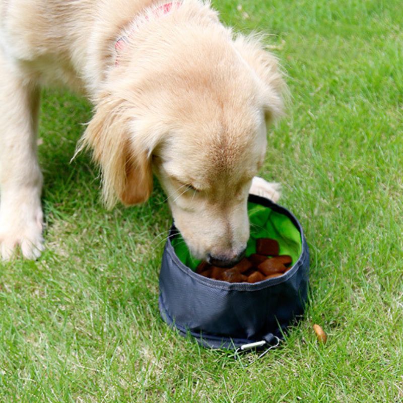 Comedouro ao Ar Livre - PetBowl Dobrável