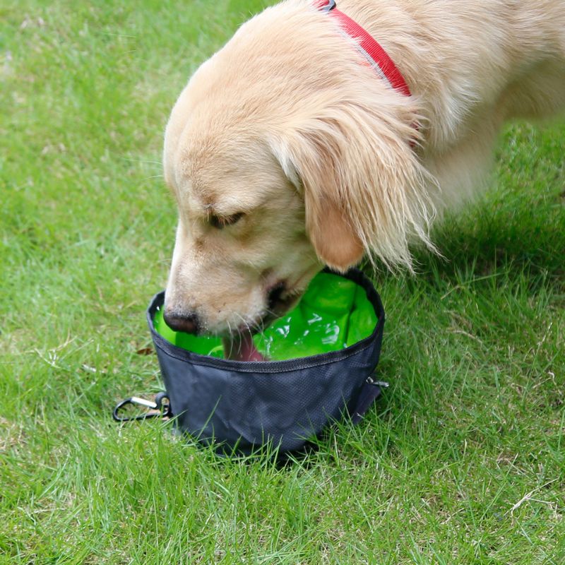 Comedouro ao Ar Livre - PetBowl Dobrável